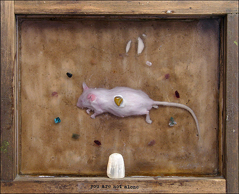 box no 12: you are not alone