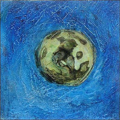 the miracle of creation IV