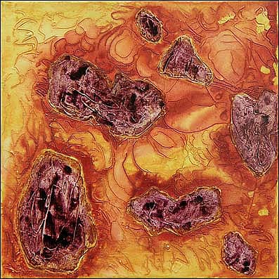 tales from the riverbed - hot I