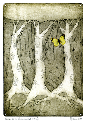 three sisters and clouded yellow